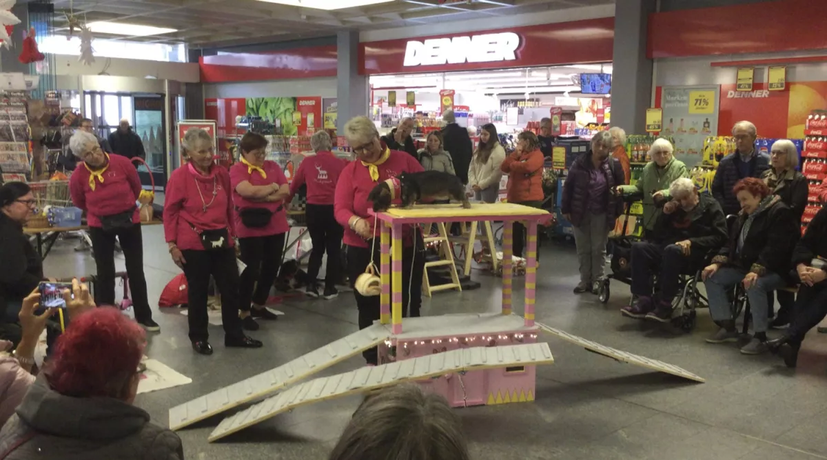 Hundezirkus-impression-2025.jpg Hundezirkus-impression-2025.jpg